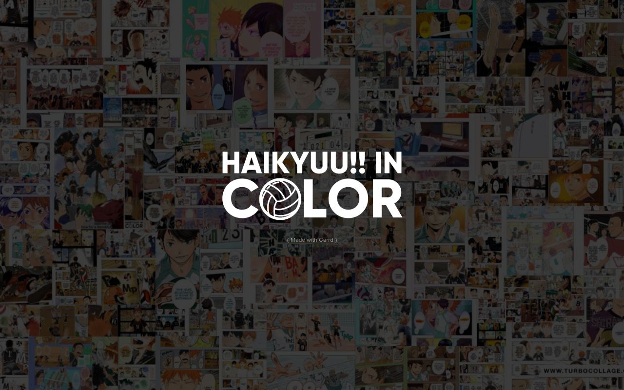 Haikyuu!! In COLOR Project