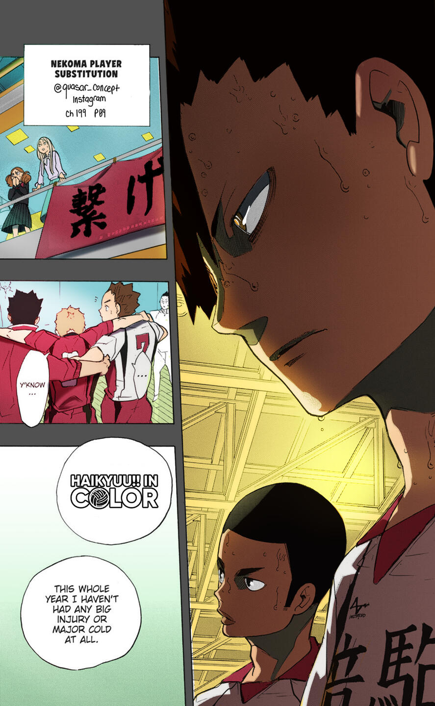 Haikyuu!! In COLOR Project