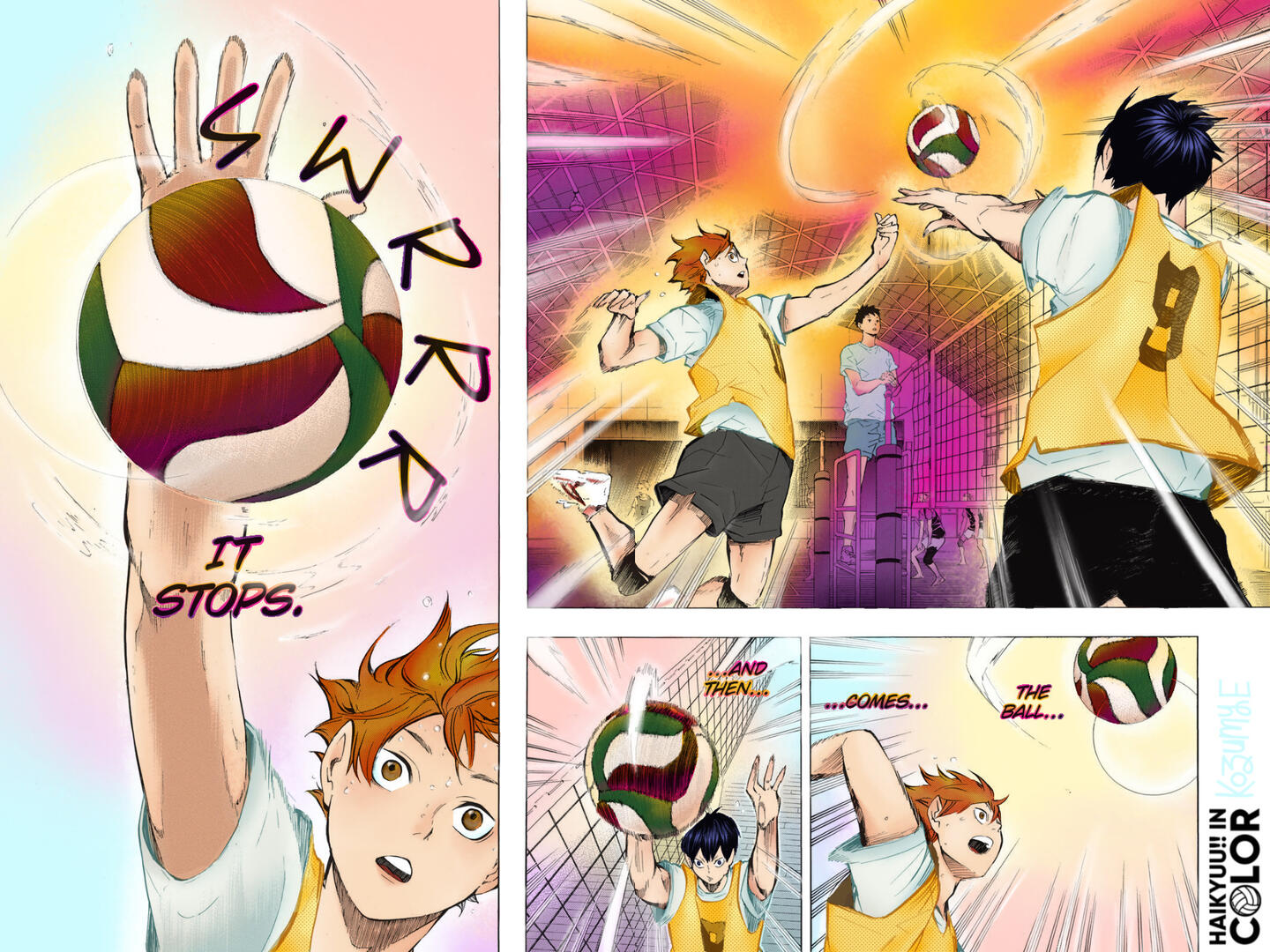 Haikyuu!! In COLOR Project