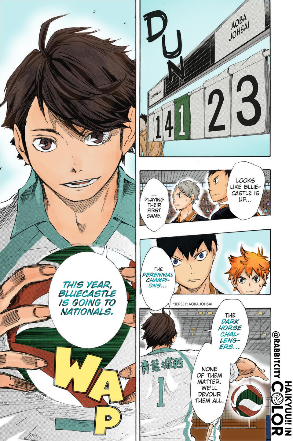 Haikyuu!! In COLOR Project